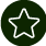 Ícono de estrella en fondo verde, símbolo de logros y excelencia.