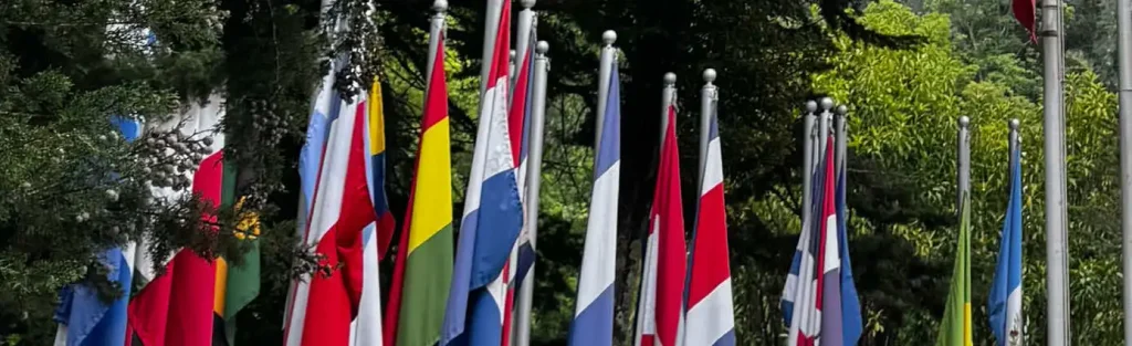 Banderas Internacionalización representando alianzas académicas de la Universidad de América